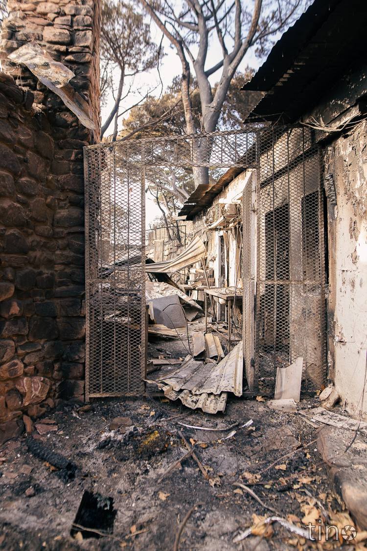 Charred remains of a building with a metal gate and debris