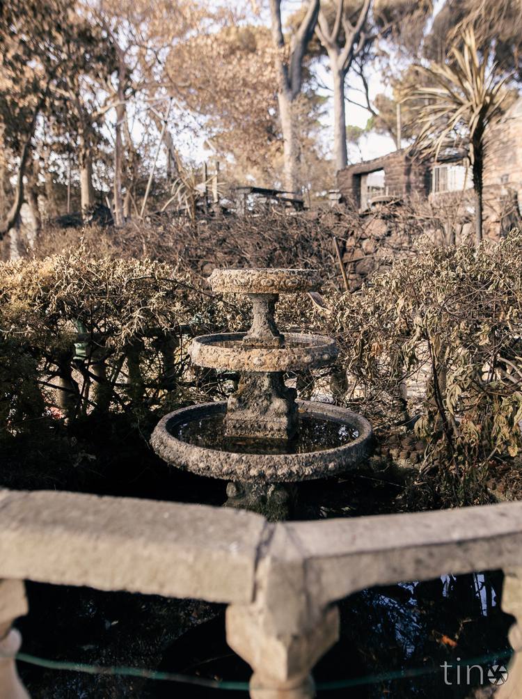 A stone fountain in a garden with bare trees and shrubs